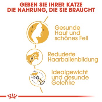 Bild, das die Vorteile von Katzenfutter bewirbt, mit dem Text: "Geben Sie Ihrer Katze die Nahrung, die sie braucht," und Symbolen für Gesundheit, Haarballen und Gewicht.