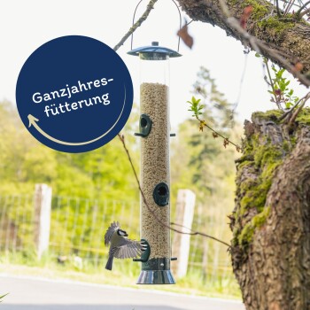 Erdnusskerne weiß gehackt 25 kg