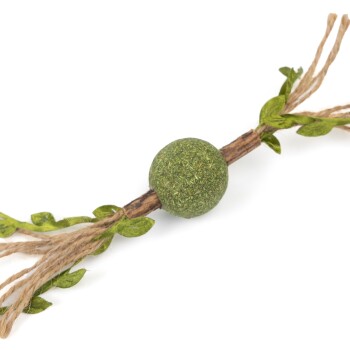 Grünes Haustierspielzeug mit einem strukturierten Ball und natürlichem Bindfaden mit blättrigen Akzenten, vor einem weißen Hintergrund.