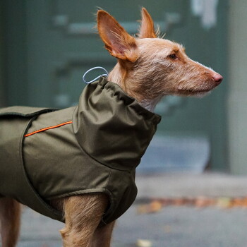 Khaki Hundemantel mit der Aufschrift "EASTON" und einem Reißverschluss für das Geschirr, elastischem Hals-/Rückenbereich, wasserdicht, winddicht und thermischem Fleece.
