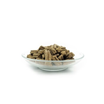 Ein Glasgefäß gefüllt mit kleinen, zylindrischen grünen Haustierfutterpellets, vor einem weißen Hintergrund.