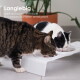 Zwei Katzen fressen aus einem erhöhten weißen Doppelnapf, eine Topfpflanze steht dahinter; sichtbarer Text: 'Langlebig' und ein deutscher Slogan.