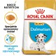 Torba z karmą Royal Canin dla szczeniąt dalmatyńczyków z ilustracją szczeniaka dalmatyńczyka, z tekstem podkreślającym odżywianie rasy i wsparcie odporności.