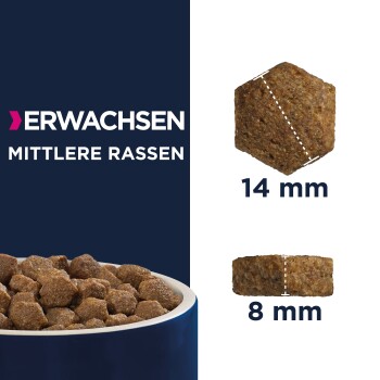 Adult Medium Breed 2x3 kg