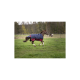 Ein braunes Pferd, das mit einer blauen und roten Decke über ein grünes Feld galoppiert, während andere Pferde im Hintergrund grasen.