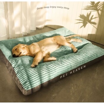 Ein golden retriever Welpe schläft friedlich auf einem plüschigen, türkisfarbenen Haustierbett mit der Aufschrift 'PET HEAVEN', während Sonnenlicht hereinfällt.