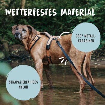 Ein brauner Hund in einem Geschirr steht im flachen Wasser, umgeben von Grün. Text: "Wasserfestes Material", "360° Metallkarabiner", "Haltbares Nylon."