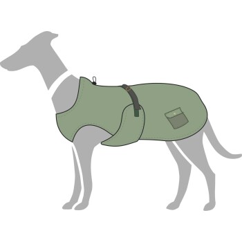 Ein Greyhound, der einen grünen Hundemantel mit einer Tasche und einem Riemen trägt, vor einem weißen Hintergrund stehend.