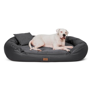 Ein gemütliches schwarzes Haustierbett mit einem kleinen Kissen, das auf Holzboden in der Nähe eines Fensters mit dekorativen Metallgittern und einer Topfpflanze steht.