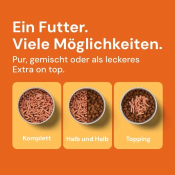 Bild von Haustierfutteroptionen mit drei Schüsseln, die "Komplett," "Halb und Halb" und "Topping" beschriftet sind, vor einem orangefarbenen Hintergrund.