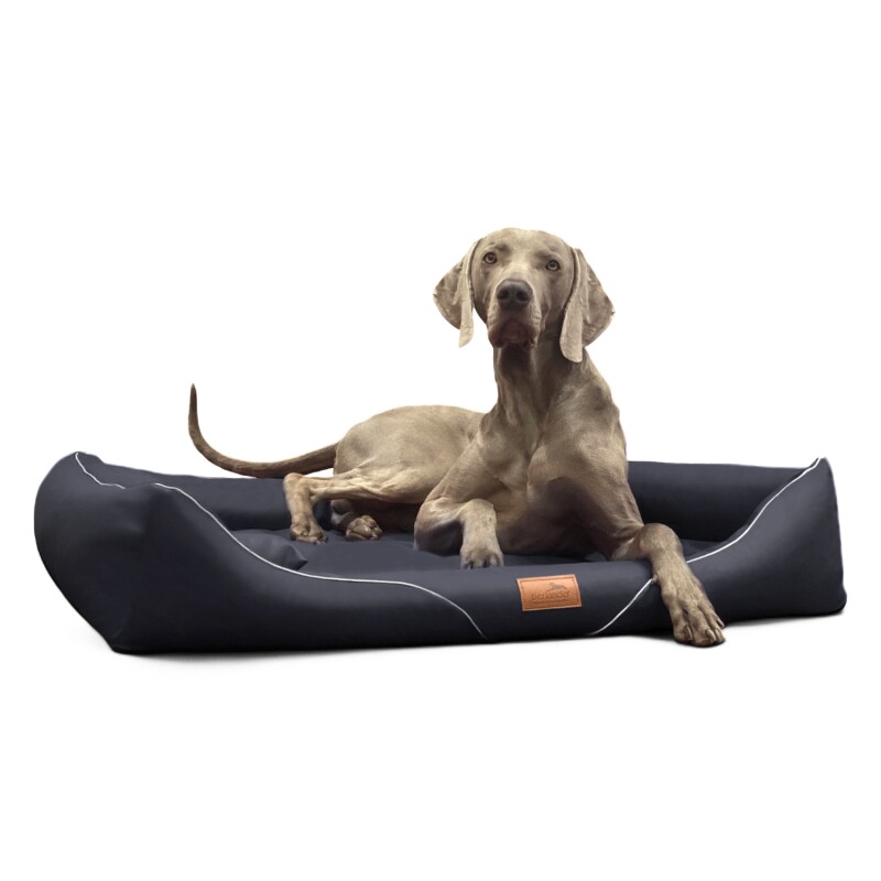 Tierlando ® Orthopädisches Hundebett WILLIAM Easy-Clean | Luxus Hundesofa schwarz 90 cm, 22 cm, 75 cm