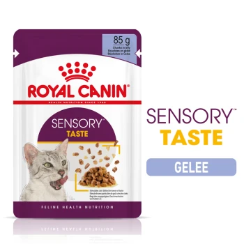 Royal Canin Sensory Taste Katzenfutterbeutel, 85g, mit Stücken in Gelee und einer Katze, die sich die Lippen leckt, hebt "Feline Health Nutrition" hervor.