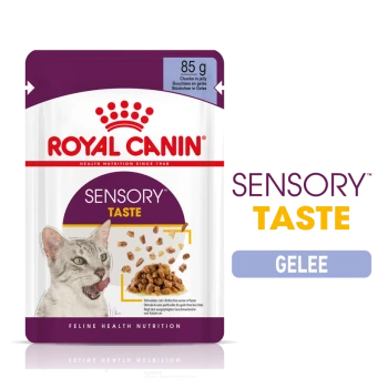 Royal Canin Sensory Taste Katzenfutterbeutel, 85g, mit Stücken in Gelee und einer Katze, die sich die Lippen leckt, hebt "Feline Health Nutrition" hervor.