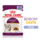 Royal Canin Sensory Taste Katzenfutterbeutel, 85g, mit Stücken in Gelee und einer Katze, die sich die Lippen leckt, hebt "Feline Health Nutrition" hervor.
