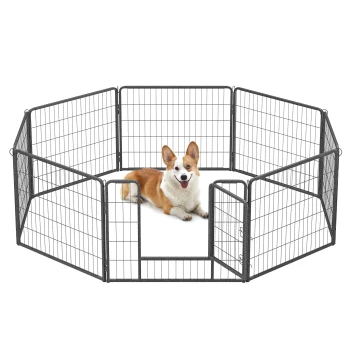 Ein glücklicher Corgi sitzt in einem schwarzen Metall-Haustierspielbereich, der achteckig mit einer Tür ist, auf einem weißen Hintergrund.