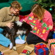 Adventskalender für Hunde mit 25 hochwertigen Leckereien, mit detaillierten Zutaten- und Nährwertinformationen auf der Rückseite.