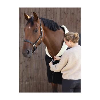 Eine Person in einem beigen Pullover befestigt eine schwarze Pferde-Decke an einem braunen Pferd mit einem weißen Kragen, vor einem Holz-Hintergrund.