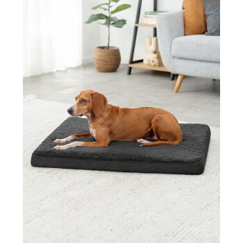 Ein brauner Hund liegt auf einem plüschigen schwarzen Haustierbett in einem hellen, modernen Wohnzimmer mit einer Topfpflanze und einem grauen Sofa im Hintergrund.