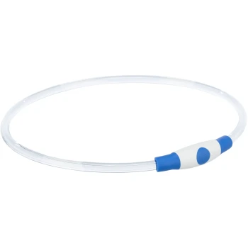 Transparente Haustierhalsband mit einem blauen und weißen Knopf, entworfen für Sichtbarkeit und Sicherheit bei nächtlichen Spaziergängen.