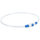 Transparente Haustierhalsband mit einem blauen und weißen Knopf, entworfen für Sichtbarkeit und Sicherheit bei nächtlichen Spaziergängen.