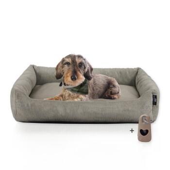 Hundebett mit Gratis-Beigabe, waschbar, robuster Fein-Cordstoff taupe