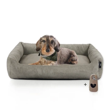 Hundebett mit Gratis-Beigabe, waschbar, robuster Fein-Cordstoff taupe Ein gemütliches, graues Haustierbett mit einem Dackel, der ein grünes Halstuch trägt und darin ruht, begleitet von einem herzförmigen Anhänger.