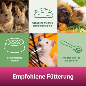 Bild von Tipps zur Tierpflege: Kaninchen, Meerschweinchen mit Gemüse, ein Hamster beim Trinken und Fütterungsanweisungen. Text: "Empfohlene Fütterung."