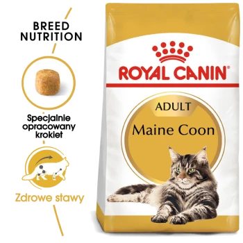 Torba z karmą dla kotów Royal Canin Adult Maine Coon z obrazkiem kota Maine Coon, z tekstem podkreślającym odżywianie rasy i zdrowie stawów.