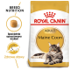 Torba z karmą dla kotów Royal Canin Adult Maine Coon z obrazkiem kota Maine Coon, z tekstem podkreślającym odżywianie rasy i zdrowie stawów.