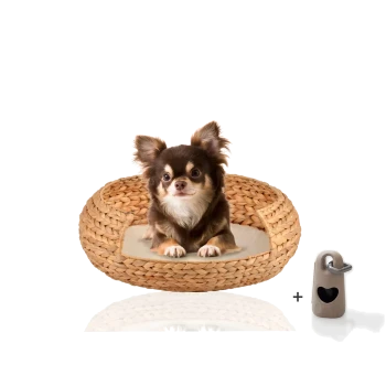 Ein kleiner Hund sitzt bequem in einem runden, geflochtenen Haustierbett mit einem weichen Kissen. Ein beiges Haustierzubehör ist neben dem Bett enthalten.
