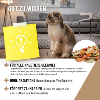 Eine Meeresschildkröte, die unter Wasser schwimmt, mit einer Plastiktüte in der Nähe ihres Gesichts. Der Text lautet: "1 KG FÜR 2 KG PLASTIK AUS DEM MEER" und "PLASTIC FREE PLANET."