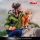 Eine Frau in einer grünen Jacke und blauen Leggings sitzt auf Felsen mit einem kleinen Hund in einem orangefarbenen Outfit, vor einer nebligen Bergkulisse.