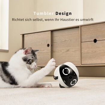 Enabot ROLA Mini: Haustier‑Monitor kabellos mit langlebiger Batterie & mobiler Live‑Überwachung