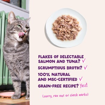 Tabby licking lips by plate of fish flakes; purple text: salmon & tuna flakes, broth, 100% natural, MSC, grain-free.