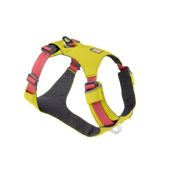 Gelbes und graues Hundegeschirr mit roten Riemen, mit verstellbaren Schnallen und einem Metall-D-Ring zur Leinenbefestigung.