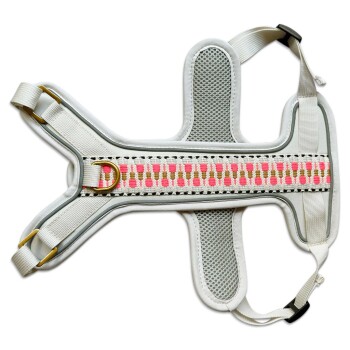Ein weißes Haustiergeschirr mit einem pinken und goldenen gemusterten Riemen, das verstellbare Riemen und einen metallischen D-Ring zur Leinenbefestigung hat.