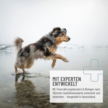 Flasche REAVET Hanföl (Hanföl) für Hunde, 500ml, mit einem glücklichen Hund auf dem Etikett und einem Messbecher mit Öl.