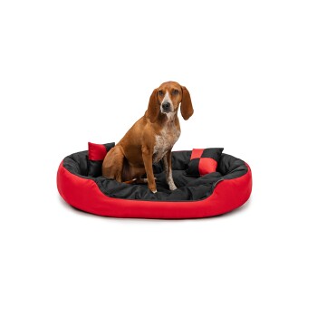 4-in-1 Hundebett M