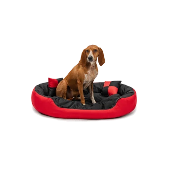 Ein brauner Hund sitzt auf einem runden, plüschigen Haustierbett mit schwarzem Innenraum und rotem Außenbereich, mit kleinen roten und schwarzen Kissen.
