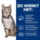 Een grijze tabby kat met groene ogen zit links van een blauwe achtergrond met tekst over stressmanagement en de voordelen van voeding.