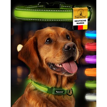 Grünes LED-Hundehalsband von Tierhood mit USB-Ladekabel, mit schwarzem Schnallenverschluss und Logo, angezeigt mit Farboptionen darunter.