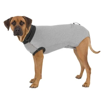 A brown dog wearing a gray pet shirt with black trim, standing on a white background.