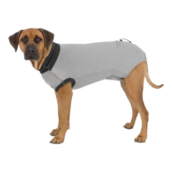 A brown dog wearing a gray pet shirt with black trim, standing on a white background.