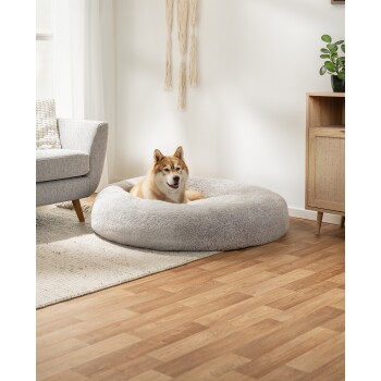 Ein glücklicher Shiba Inu Hund, der in einem plüschigen, runden grauen Hundebett auf einem Holzboden entspannt, mit einer gemütlichen Wohnzimmerumgebung im Hintergrund.