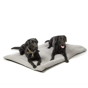 Zwei schwarze Labrador Retriever liegen auf einem weichen grauen Haustierbett, einer trägt ein Halsband mit einem Anhänger.