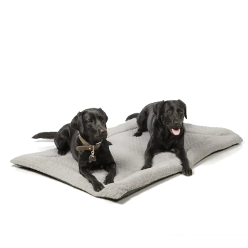 Zwei schwarze Labrador Retriever liegen auf einem weichen grauen Haustierbett, einer trägt ein Halsband mit einem Anhänger.