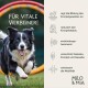 Werbung für ein Hundegelenkpräparat mit einer runden kaubaren Tablette, mit Text, der Zutaten wie Glucosamin, Chondroitin und Antioxidantien beschreibt.