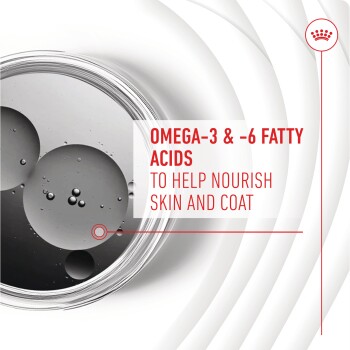 Image of a product highlighting Omega-3 & -6 fatty acids, with text stating "TO HELP NOURISH SKIN AND COAT" on a sleek, modern background.
