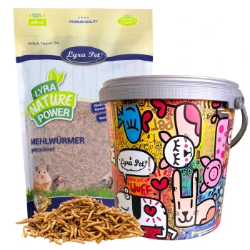 Bunte Verpackung von Lyra Pet Nature Power getrockneten Mehlwürmern, mit einem lebhaften Eimerdesign und einer Tüte, die mit "100% natürlich, hoher Proteingehalt" beschriftet ist.