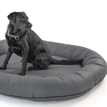 Ein schwarzer Labrador Retriever sitzt auf einem großen, runden, grauen Hundebett und schaut mit einem ruhigen Ausdruck zur Seite.